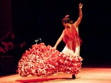 Flamenco Biënnale dansworkshop Patricia Guerrero