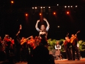 Vierde Flamenco Biënnale succesvol