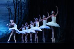 Charkov Staats Ballet Theater - Het Zwanenmeer