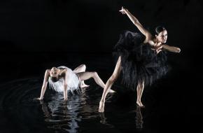 Nationale Ballet David Laport
